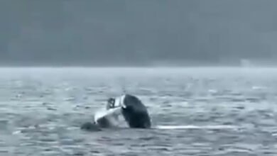 Video: Tragedy on the Volga, Woman Dies After Boat Capsizes in Samara