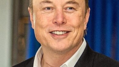 Elon Musk Urges Trump to Release the Epstein Files as Promised