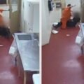 VIDEO: Deputy injured in unprovoked attack while delivering lunch at jail in Erie County, NY