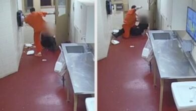 VIDEO: Deputy injured in unprovoked attack while delivering lunch at jail in Erie County, NY