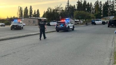 Renton Shooting Leaves Three Dead Near Northeast 18th Street, Suspect on the Run