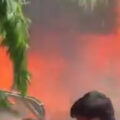 Video: Bangladesh Jet Crash Kills 19, Injures Over 100 at Dhaka’s Milestone College