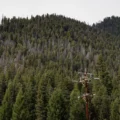 Montana Plane Crash: Smartwatch Helps Locate Downed Aircraft, All 3 On Board Dead