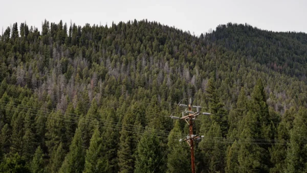 Montana Plane Crash: Smartwatch Helps Locate Downed Aircraft, All 3 On Board Dead 1 Montana plane crash