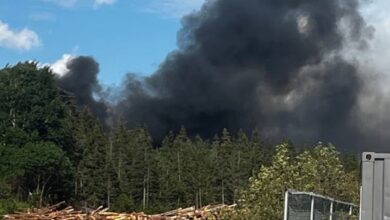 Plane Crashes Near Deer Lake Airport in Newfoundland; Casualty Details Unknown