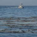 Three Killed in Monterey Plane Crash off California Coast