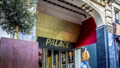 Brussels Police Lift Security Lockdown Near Palace Cinema After Bomb Threat