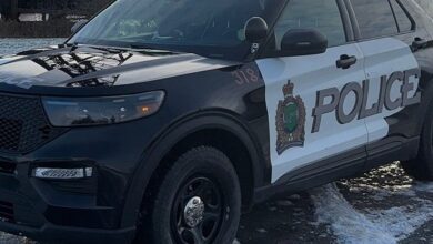 Three Killed in Fiery Niagara-on-the-Lake Car Crash