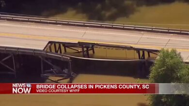 Bridge Collapse in Pickens County: Partial Failure at Twelve Mile River Crossing Caught on Video