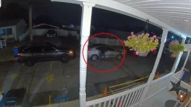 Vehicle Break-Ins in Dauphin County: State Police Investigating String of Thefts