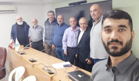 زيت الزيتون
