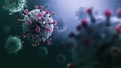 فيروس كورونا جديد يُكتشف في خفافيش البرازيل يثير مخاوف انتقاله للبشر