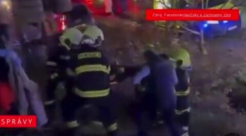 WATCH: Nearly 30 Injured After 2 Trains Collide on Pezinok–Bratislava Line in Slovakia
