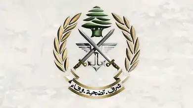 الجيش يوقف السوريَّين المروجين للمخدرات في المتن وبقنايا