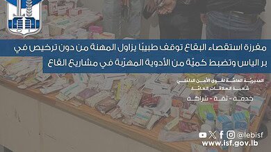 قوى الأمن توقف فلسطينيًا ولبنانيًا في قضيتي طب ودواء