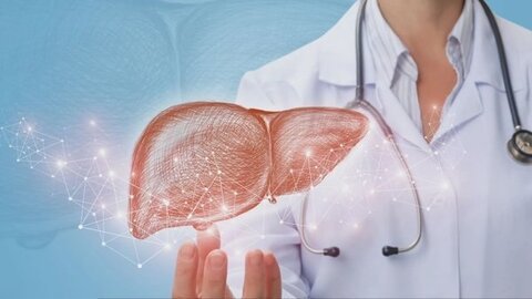 كيف يربك السكر الكبد… وما الذي يعيده إلى التعافي؟