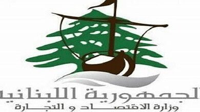 مفتشو الاقتصاد في الجنوب يلاحقون مخالفات المولدات والميني ماركت
