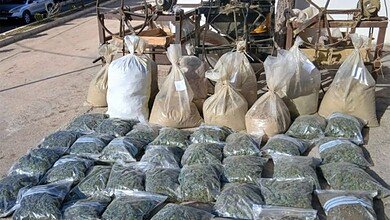 بالصور: الجيش يوقف مطلوبين ويضبط مخدرات وأسلحة في بعلبك وعكار
