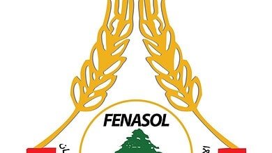 اتحاد العمال اللبنانيين يرفض رفع الضرائب ويطالب بحد أدنى للأجور 1000 دولار 6 اتحاد العمال اللبنانيين يرفض رفع الضرائب ويطالب بحد أدنى للأجور 1000 دولار