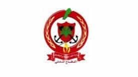 الدفاع المدني: إنقاذ مواطنة من تحت الأنقاض إثر غارة استهدفت مبنى في الغازية