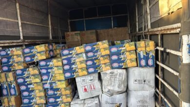 بالصور: الجمارك تُحبط تهريب الدخان والمعسل.. وضبط 2 طن فواكه في بيروت