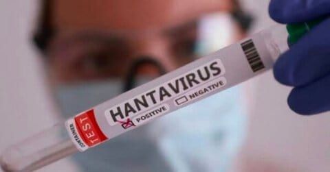 Le Canada signale un cas d’infection au virus Hantavirus
