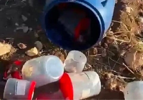 تركيا: العثور على 21 جنينا بشريا في حاوية نفايات بمقبرة 1 تركيا: العثور على 21 جنينا بشريا في حاوية نفايات بمقبرة