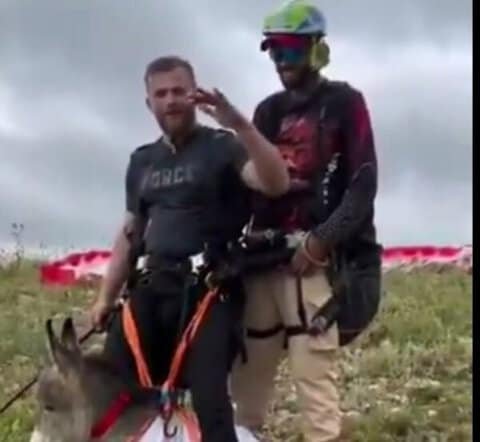 بالفيديو: الحمار الطائر في أجواء لبنان.. جدل واسع بين مؤيد ومعارض 1 بالفيديو: الحمار الطائر في أجواء لبنان.. جدل واسع بين مؤيد ومعارض