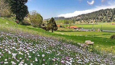 خلال الأيّام المُقبلة.. الحرارة إلى مزيد من الإرتفاع