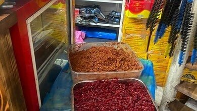 بالصور: الريجي تضبط كميات كبيرة من السجائر الإلكترونية والمعسّل المهرّب في بيروت