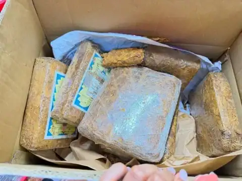 الريجي