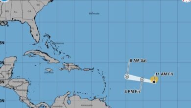 Tropical Storm Dolly Dissipates Into Open Tropical Wave as Heavy Rain Targets Leeward Islands