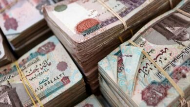 قروض بأسماء أولياء الأمور دون علمهم… ماذا تكشف الواقعة عن التمويل الاستهلاكي في مصر؟ 3 egyptian money