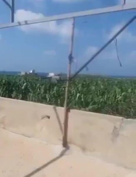 بالفيديو: تحليق درون فوق الصرفند والسكسكية على سطوح المنازل في جنوب لبنان