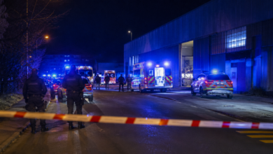 Gunman Kills One: Video: Gunman Kills One and Wounds Five at Rave in Aarau, Switzerland