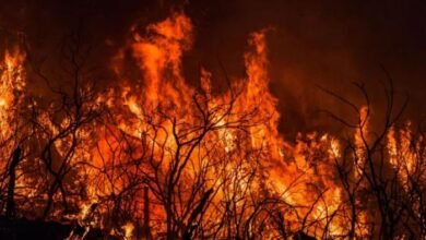 الجيش الجزائري يتدخل لإخماد الحرائق: 73 وفاة و174 حريقًا خلال يومين