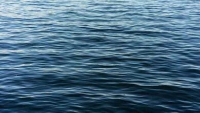 2 dead after boat overturns near Palisades Dam