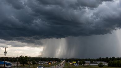 Strong Thunderstorms With 50 MPH Winds Target Four Florida Counties 3 Strong Thunderstorms 50: Strong Thunderstorms With 50 MPH Winds Target Four Florida Counties