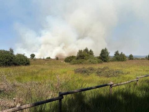 Belgium Wildfire Heads Toward Germany as Record Blaze Burns 3,000 Hectares