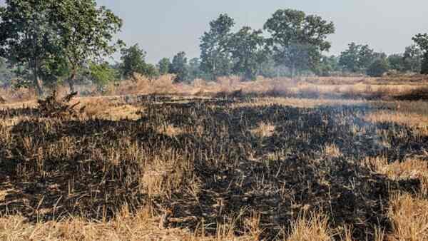 Bandera, Texas County issues burn ban as