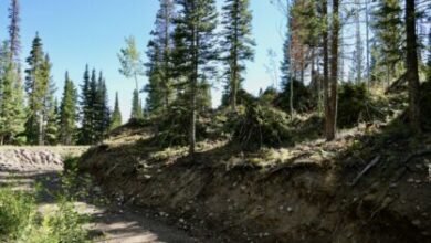 Coloradans to vote on ballot measure to increase funding for conservation, wildfire mitigation — Gold Mountain, Colorado 4 Coloradans to vote on ballot measure