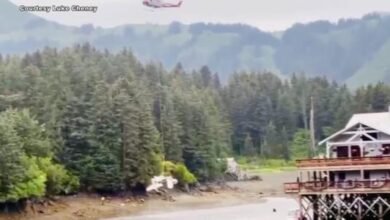 Helicopter lifts wreckage of fatal Seldovia plane