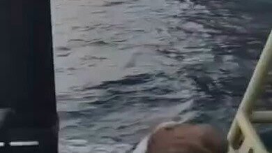 فيديو: مسيّرات أوكرانية تستهدف سفينة شحن تركية قرب نوفوروسيسك الروسية وتصيب عددًا من أفراد الطاقم