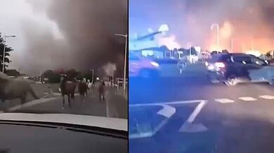 Video: France Arrests 420 People Over Wildfires as Country Endures Historic Fire Season