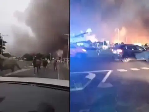 Video: France Arrests 420 People Over Wildfires as Country Endures Historic Fire Season