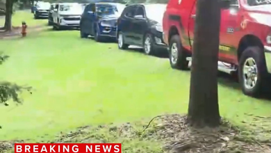 Least 2 Officers: Video: At Least 2 Police Officers Shot at Columbia, South Carolina Park