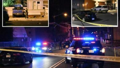 Mass Shooting