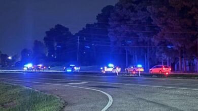 Pedestrian killed hit-and-run