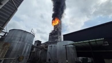 Three Killed in Fire at Daewonsanup Plant