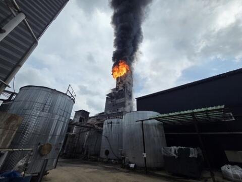 Three Killed in Fire at Daewonsanup Plant